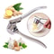 Stainless Steel Garlic Crusher Handheld Press for Garlic & Ginger, Kitchen Tool