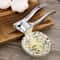 Stainless Steel Garlic Crusher Handheld Press for Garlic & Ginger, Kitchen Tool