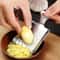 Mini Stainless Steel Ginger Garlic Grater Manual Peeler Crusher For Easy Kitchen Use 1