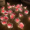 Pink Cherry Blossom Fairy String Lights, Decorative Pink Flower String Lamp for Outdoor & Christmas Garland