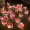 Pink Cherry Blossom Fairy String Lights, Decorative Pink Flower String Lamp for Outdoor & Christmas Garland
