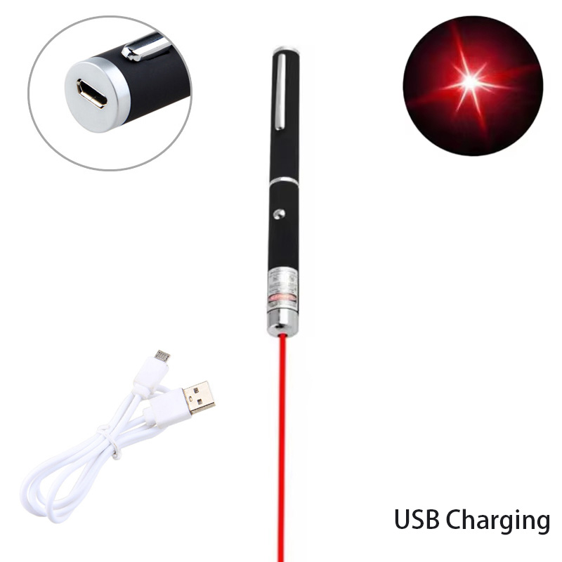 Interactive Pet Laser Pointer LED Flashlight Fun Cat Training Toy Holiday Gift 4
