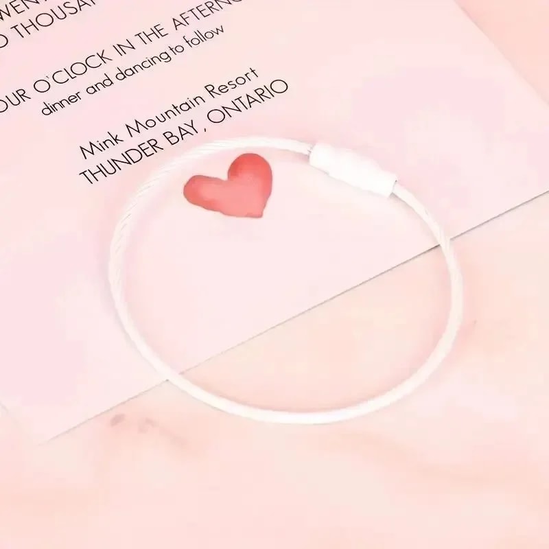 Colorful Stainless Steel Wire Luggage Tag Clips Durable & Easy to Install, Perfect for Travel and Everyday Use