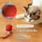 Interactive Electric Cat Ball With Teaser Bird Rechargeable Smart Pet Toy 4