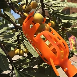 high reach fruit picker tool basket for tree harvesting garden fruit picker for peach plum jujube