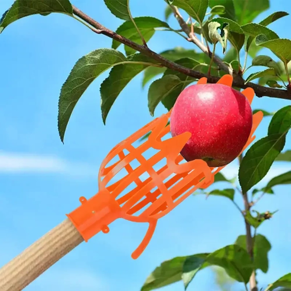 High Reach Fruit Picker Tool Basket For Tree Harvesting Garden Fruit Picker For Peach Plum Jujube 2