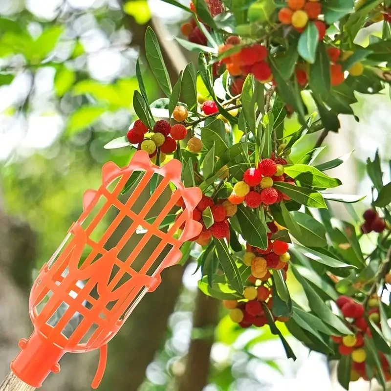 High Reach Fruit Picker Tool Basket For Tree Harvesting Garden Fruit Picker For Peach Plum Jujube 3