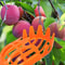 High Reach Fruit Picker Tool Basket For Tree Harvesting Garden Fruit Picker For Peach Plum Jujube 4