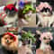 Handmade Cat Hat Elastic Woven Knitted Cap For Pets Puppy Kitten Headwear For Party Photoshoot De 1