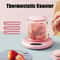 USB Thermostatic Heating Coaster Adjustable Speed Heating, Constant Temperature