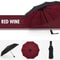 Windproof Double Layer Automatic Umbrella Durable, Self-Opening & Resistant