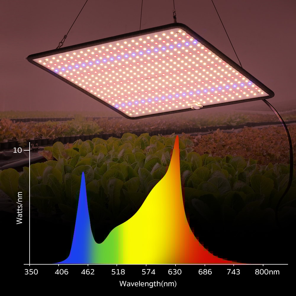 Full Spectrum LED Grow Light For Indoor Plants Phyto Lamp 3