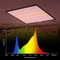 Full Spectrum LED Grow Light For Indoor Plants Phyto Lamp 3