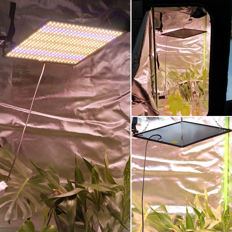 Full Spectrum LED Grow Light For Indoor Plants Phyto Lamp 5