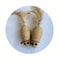 Interactive Sisal Mouse Cat Toy Plush SelfPlaying Mice For Kittens BiteResistant Plush Toys 6