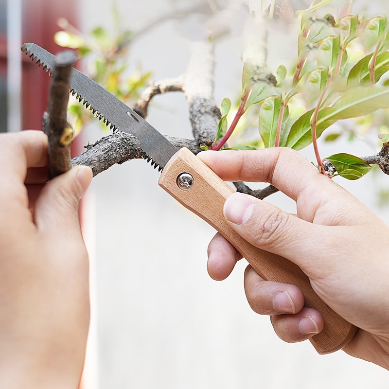 Mini Folding Hand Saw with Non-slip Wooden Handle for Precision Woodworking & Plastic Cutting