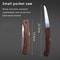 Mini Folding Saw for Woodworking Multifunctional Camping, Garden & Tree Cutting Tool
