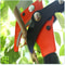 Extendable Tree Pruner Pole Saw High Reach Branch Cutter with Sharp Pruning Shears