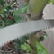 High Performance Curved Pruning Saw with Comfort Grip for Tree and Garden Cutting