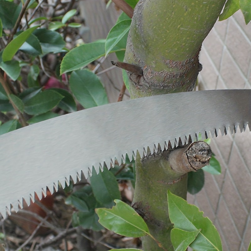 High Performance Curved Pruning Saw with Comfort Grip for Tree and Garden Cutting