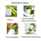 Multi-Blade Herb Grinder Manual Herb Cutter for Fast Kitchen Chopping