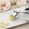 Stainless Steel Garlic Press & Ginger Squeezer Multifunctional Kitchen Crusher