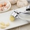 Stainless Steel Garlic Press & Ginger Squeezer Multifunctional Kitchen Crusher