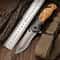 Portable Stainless Steel Folding Knife Multi-Purpose Survival & Fruit Knife