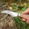 Multi-Use Stainless Steel Folding Knife with Wooden Handle, Sharp EDC Tool for Hunting & Survival