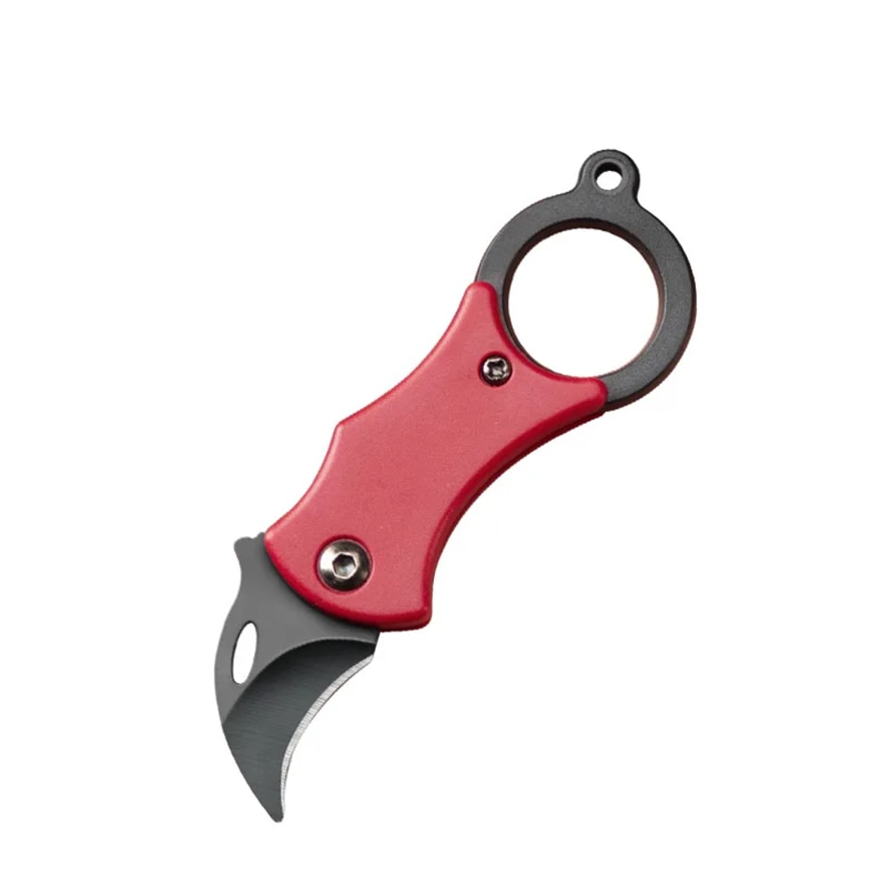 Mini Folding Pocket Knife Portable Outdoor Gear with Keychain, Ideal for Camping & Food Prep