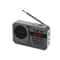 PocketTune Portable FM Radio Bluetooth Speaker With Recording 7