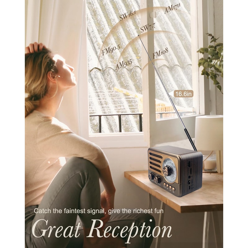 Portable Bluetooth AM FM Radio with LED Flashlight