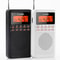 Portable AM FM Radio With LCD Alarm Clock And Earphones 1
