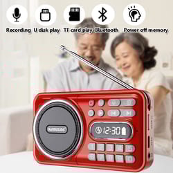 pocketwave portable fm radio bluetooth speaker with recorder and led display
