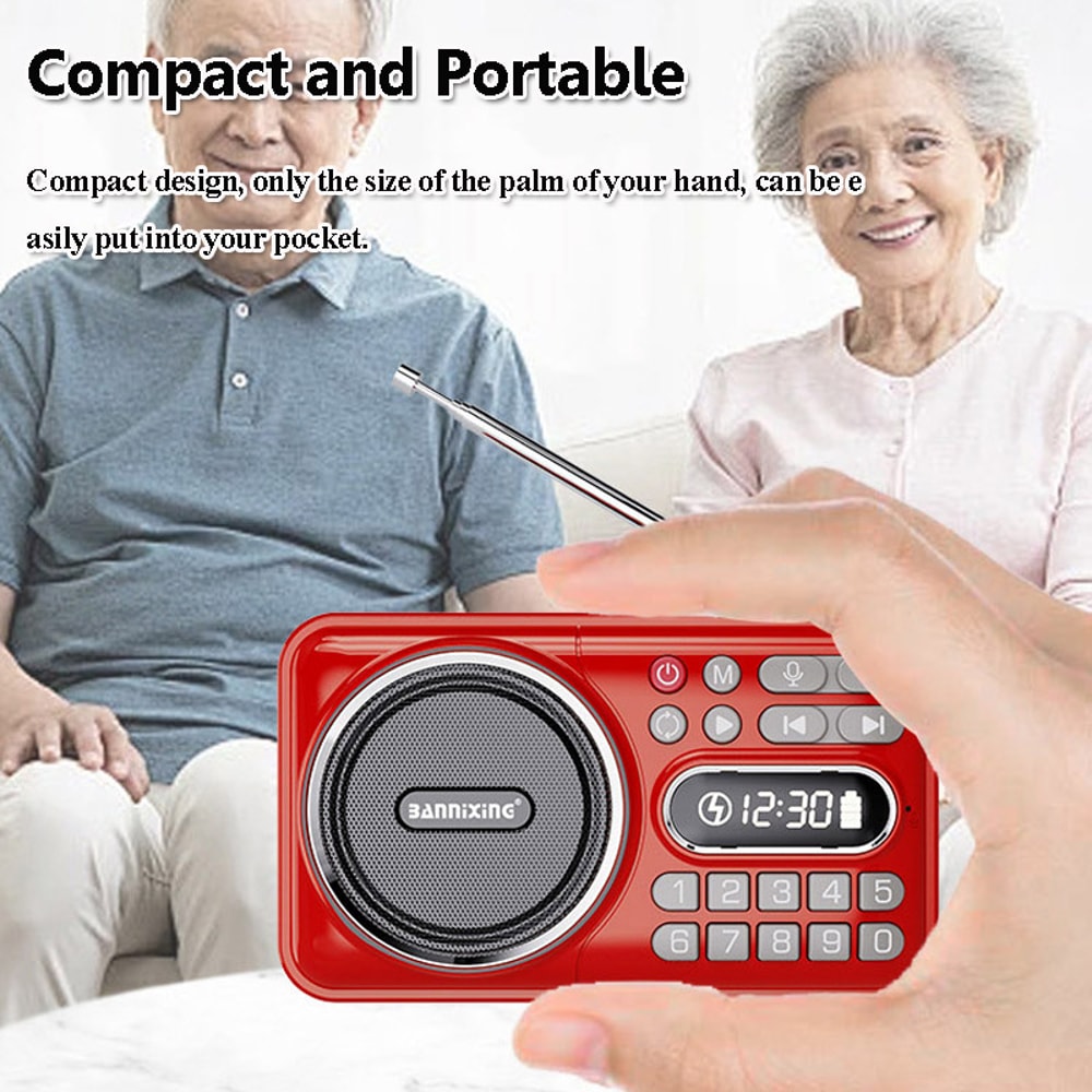 PocketWave Portable FM Radio Bluetooth Speaker with Recorder and LED Display