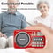 PocketWave Portable FM Radio Bluetooth Speaker with Recorder and LED Display
