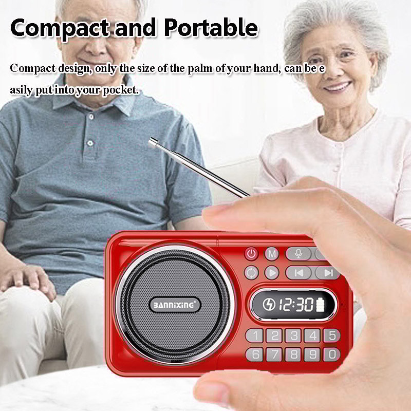 PocketWave Portable FM Radio Bluetooth Speaker with Recorder and LED Display