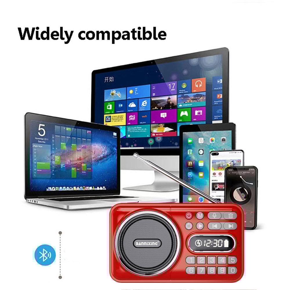 PocketWave Portable FM Radio Bluetooth Speaker with Recorder and LED Display