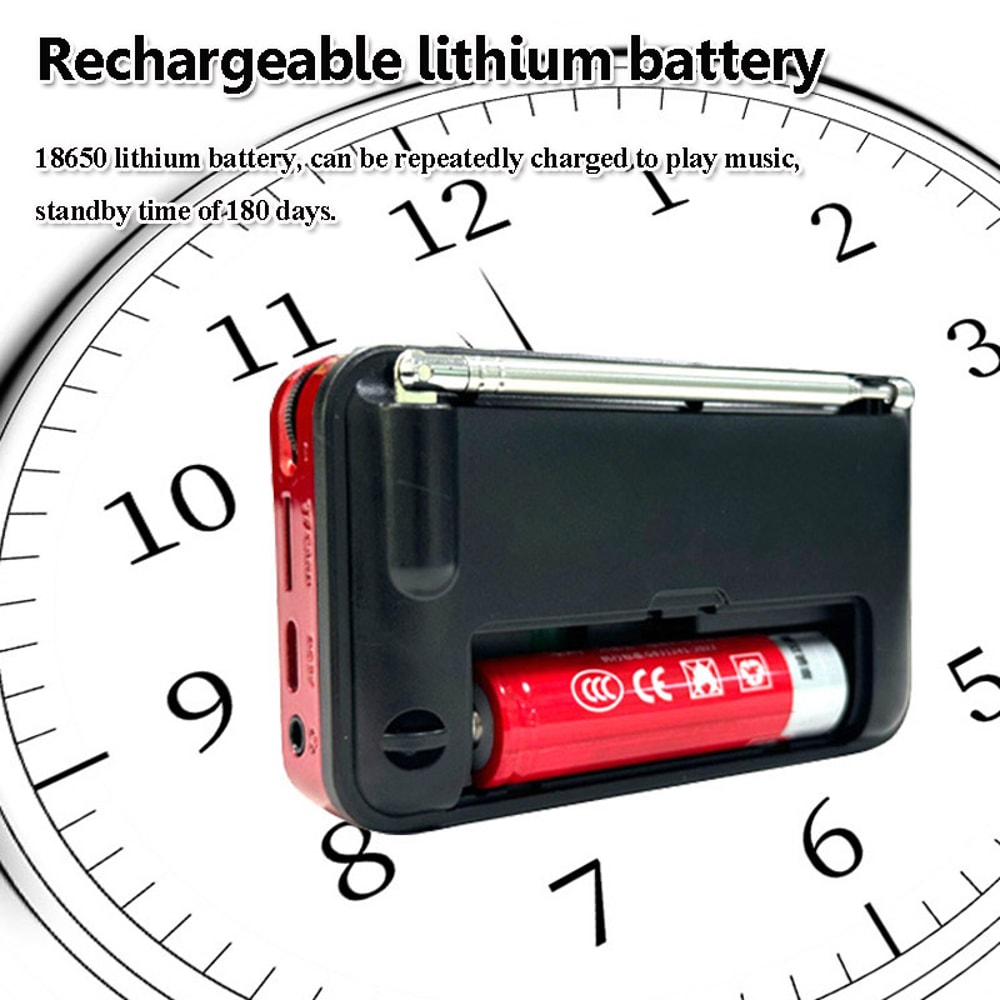 PocketWave Portable FM Radio Bluetooth Speaker with Recorder and LED Display