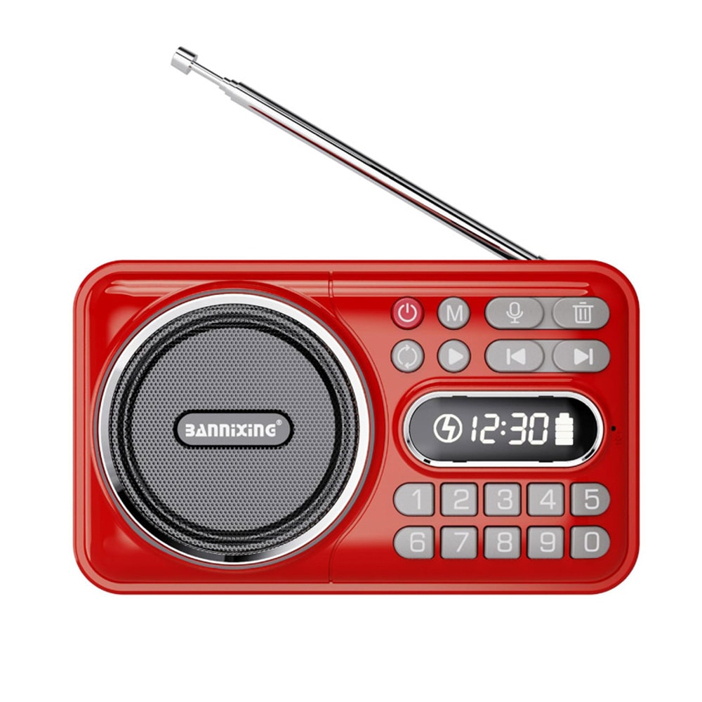 PocketWave Portable FM Radio Bluetooth Speaker with Recorder and LED Display