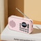 Portable FM Radio Bluetooth Speaker Rechargeable Pocket Radio with USB Playback