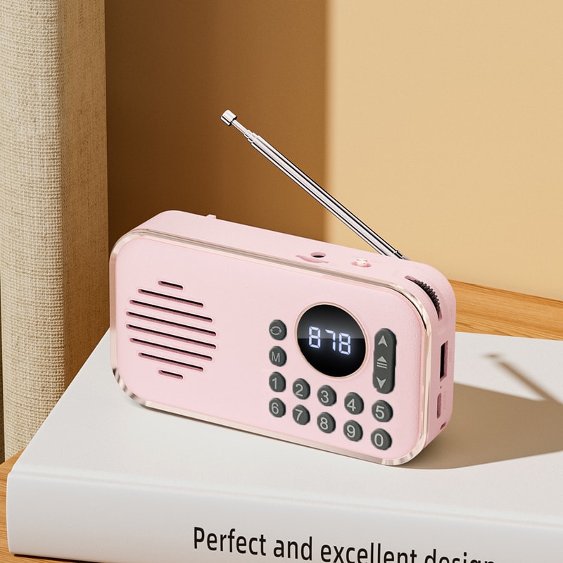 Portable FM Radio Bluetooth Speaker Rechargeable Pocket Radio with USB Playback