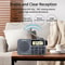Portable AM/FM radio with Bluetooth Recorder and Alarm Clock
