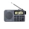 Portable AM/FM radio with Bluetooth Recorder and Alarm Clock