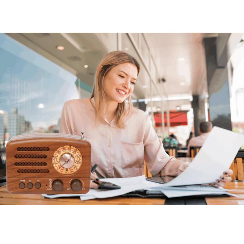 Rechargeable Retro Bluetooth Radio Portable FM/AM Stereo with AUX and USB Connectivity
