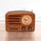 Rechargeable Portable Bluetooth FM AM Radio with Stereo Sound & Player