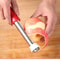 Stainless Steel Apple Corer Tool And Fruit Corer Peeler 0