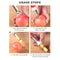 Stainless Steel Apple Corer Tool And Fruit Corer Peeler 2