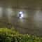 Solar Garden Lights Waterproof LED Outdoor Ground Lights for Courtyards & Driveways