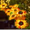 Solar Powered Sunflower Light for Outdoor Garden Waterproof LED Ground Lamp for Lawn & Courtyard Decoration